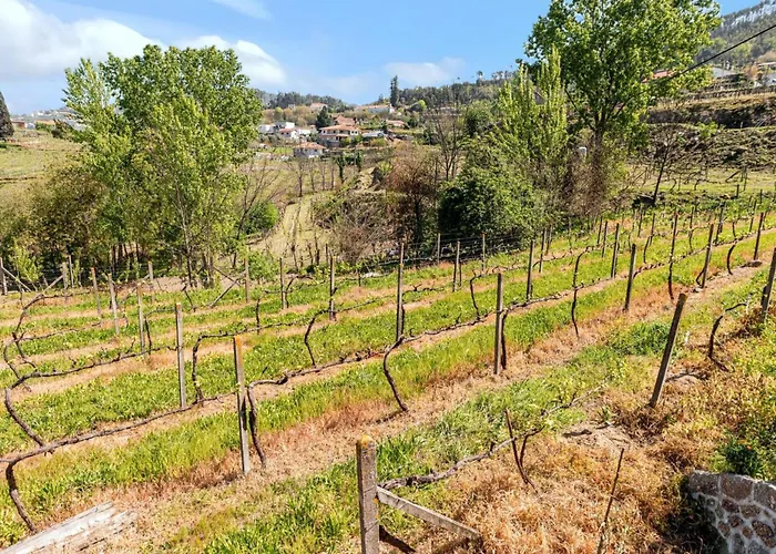 Charming House In Fornos With Shared Pool Σπίτι διακοπών